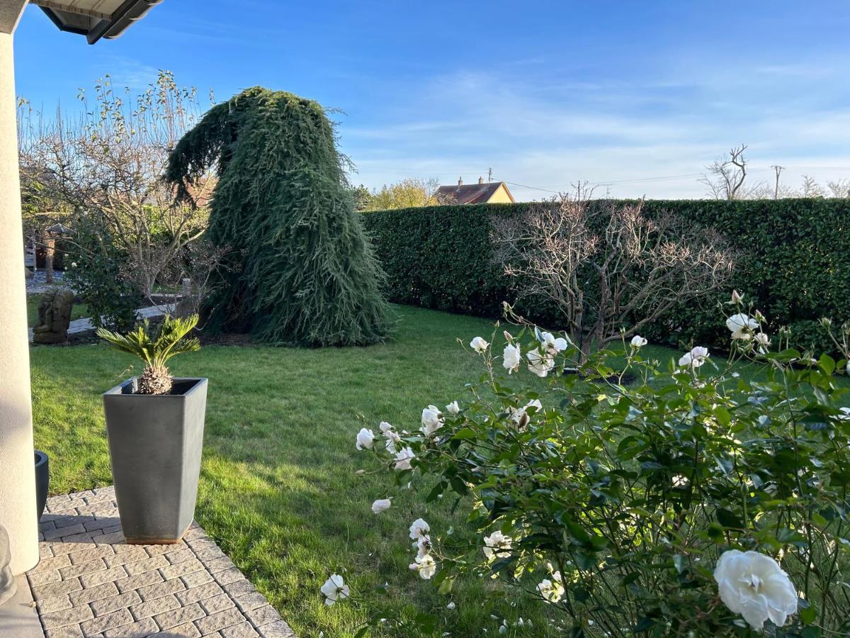 Grande Maison Au Calme Ensisheim Exteriér fotografie